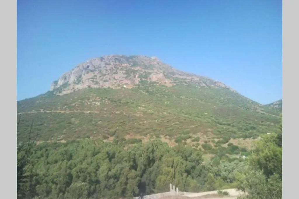 Belvedere غونيسا 0*,  إيطاليا